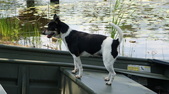 Enlarge photo 63