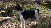 Enlarge photo 59