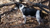 Enlarge photo 58