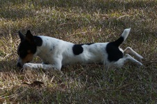 Enlarge photo 16