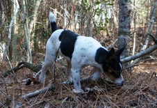 Enlarge photo 15