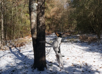 Enlarge photo 27