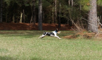 Enlarge photo 36