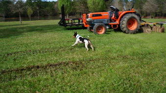 Enlarge photo 35