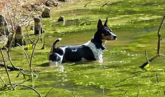 Enlarge photo 8