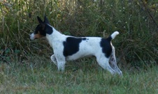 Enlarge photo 23