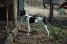 Enlarge photo 15