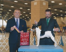 Enlarge photo 8