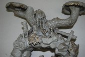Enlarge photo 29