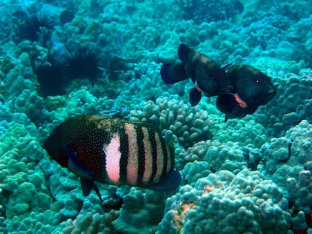 Enlarge photo 31