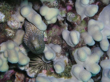 Enlarge photo 33