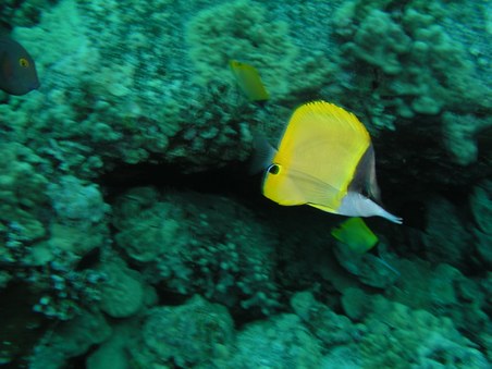 Enlarge photo 37
