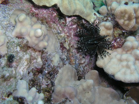 Enlarge photo 39