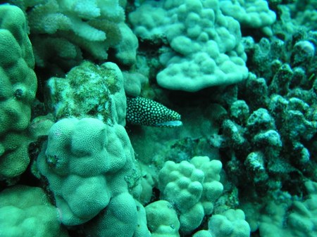 Enlarge photo 41