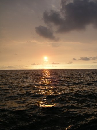 Enlarge photo 45