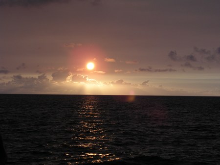 Enlarge photo 48