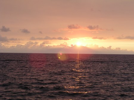 Enlarge photo 53