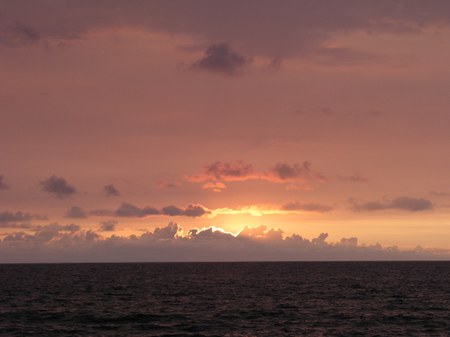 Enlarge photo 54