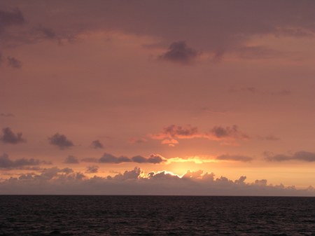 Enlarge photo 55
