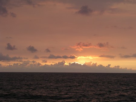 Enlarge photo 56