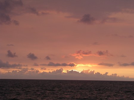 Enlarge photo 58