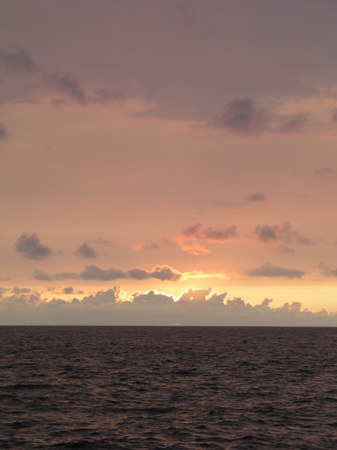 Enlarge photo 59