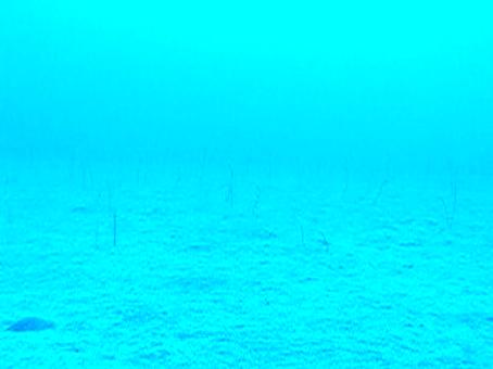 Enlarge MOV 116