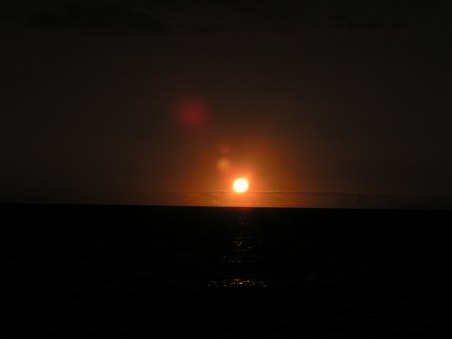 Enlarge photo 103