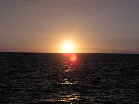 Enlarge photo 104