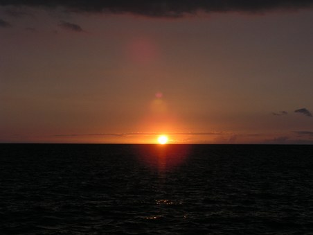 Enlarge photo 107