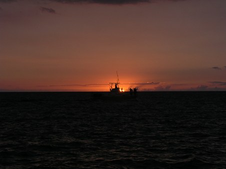 Enlarge photo 110