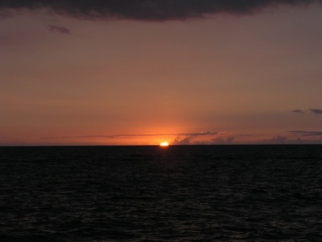 Enlarge photo 111