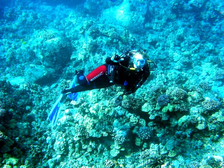 Enlarge photo 120