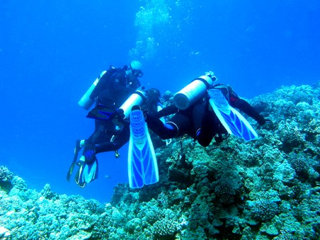 Enlarge photo 153