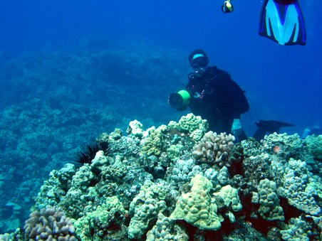 Enlarge photo 154