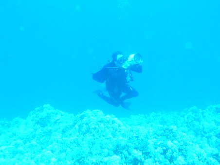 Enlarge photo 152