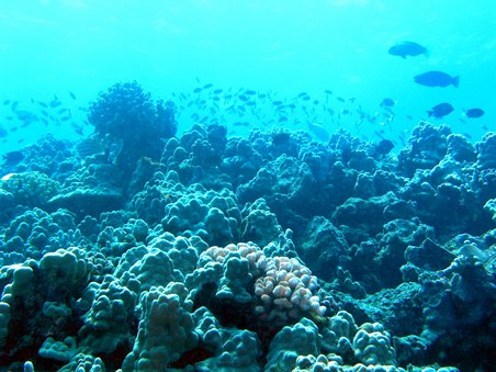 Enlarge photo 158