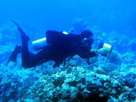 Enlarge photo 172