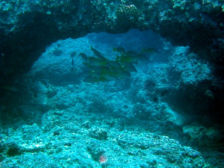 Enlarge photo 181