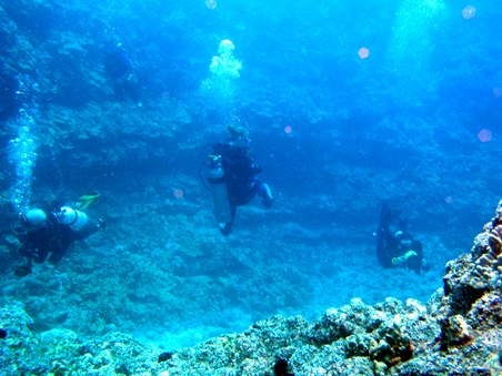 Enlarge photo 187