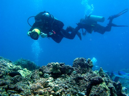 Enlarge photo 192
