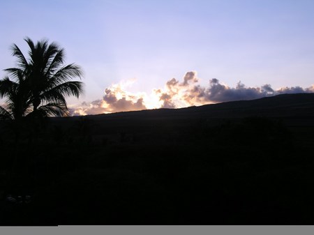 Enlarge photo 252