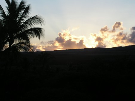 Enlarge photo 206