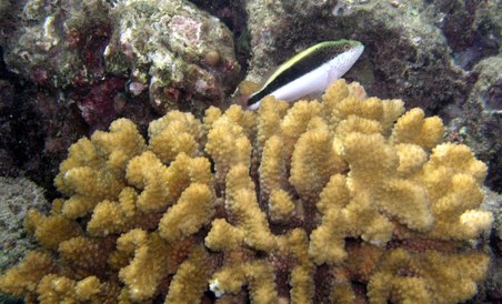 Enlarge photo 207