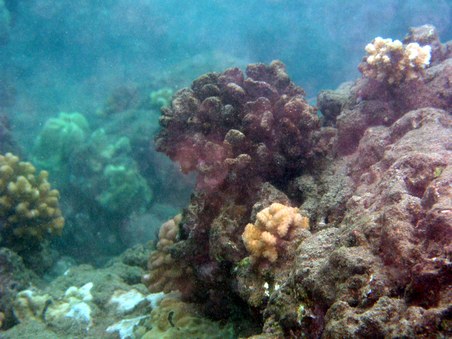 Enlarge photo 214