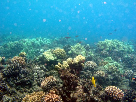 Enlarge photo 216