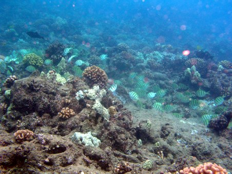Enlarge photo 218