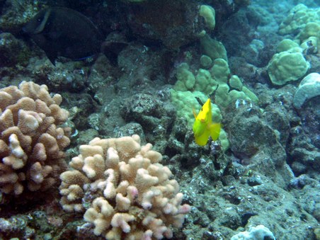 Enlarge photo 222