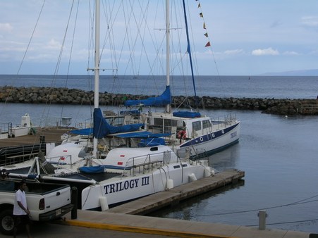 Enlarge photo 235