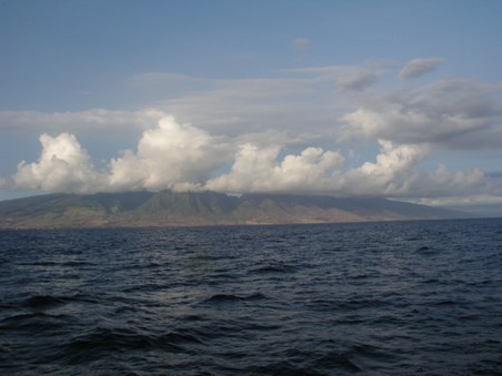 Enlarge photo 243